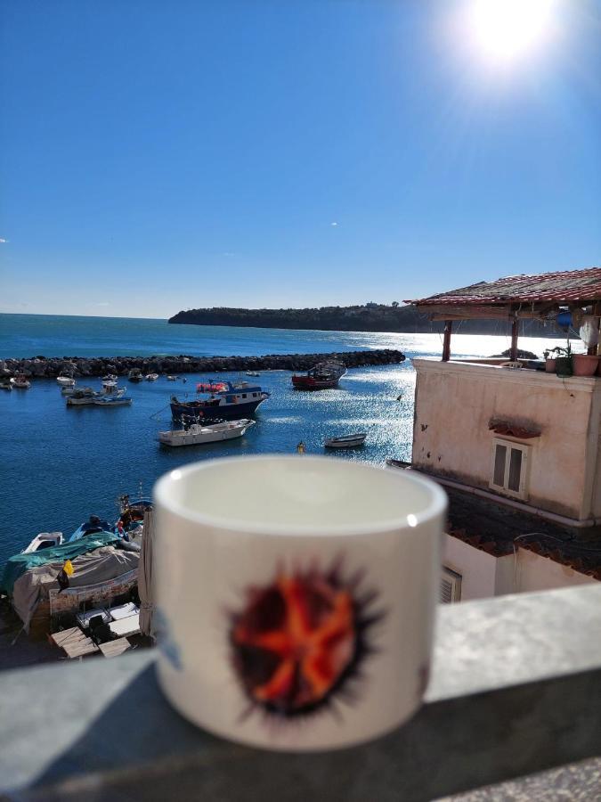 La Terrazza Di Maria Apartment Прочида Екстериор снимка